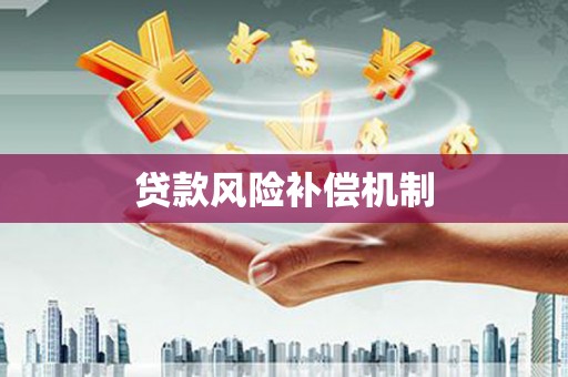 汉寿贷款风险补偿机制