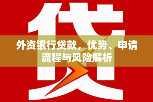 汉寿外资银行贷款，优势、申请流程与风险解析