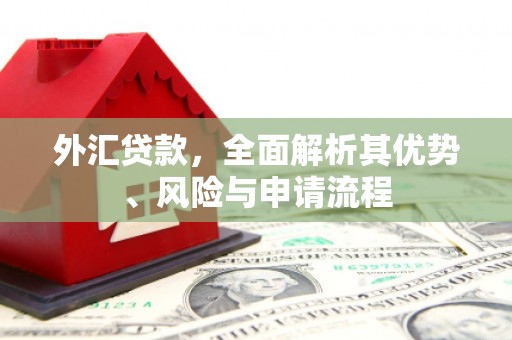 汉寿外汇贷款，全面解析其优势、风险与申请流程