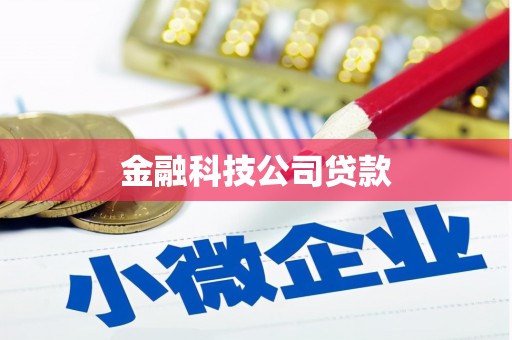 汉寿金融科技公司贷款