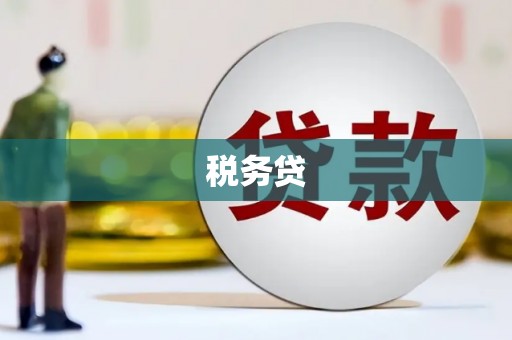 汉寿税务贷