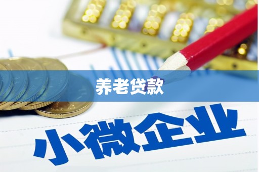 汉寿养老贷款