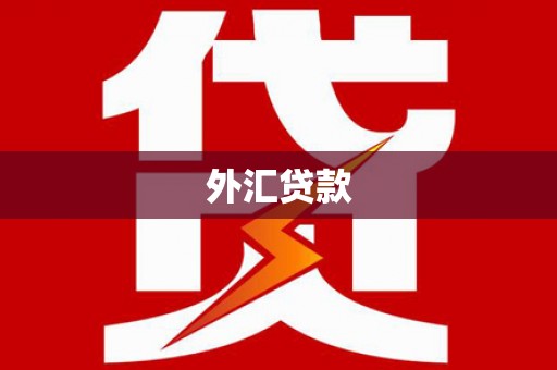汉寿外汇贷款
