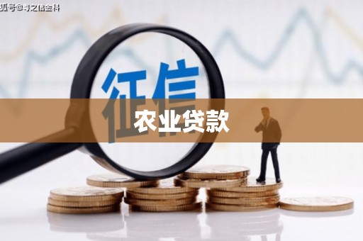 汉寿农业贷款