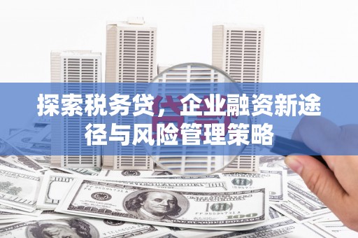 汉寿探索税务贷，企业融资新途径与风险管理策略