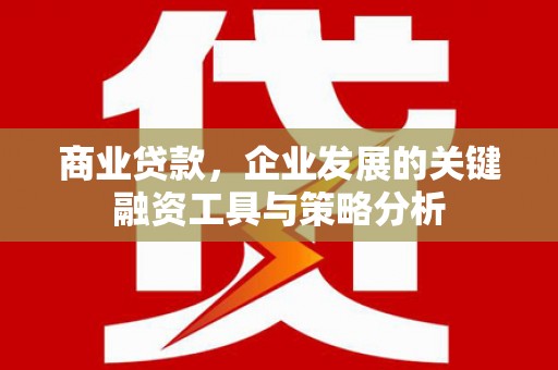 汉寿商业贷款，企业发展的关键融资工具与策略分析