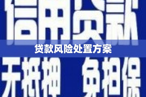 汉寿贷款风险处置方案