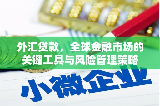 汉寿外汇贷款，全球金融市场的关键工具与风险管理策略