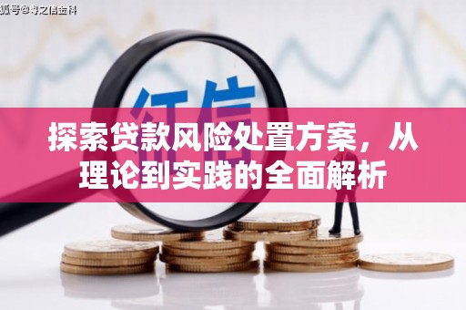 汉寿探索贷款风险处置方案，从理论到实践的全面解析