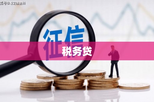 汉寿税务贷