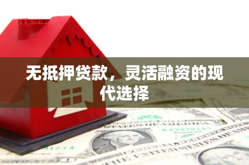 汉寿无抵押贷款，灵活融资的现代选择