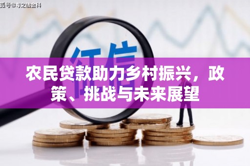 汉寿农民贷款助力乡村振兴，政策、挑战与未来展望