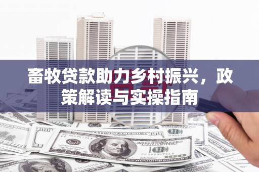 汉寿畜牧贷款助力乡村振兴，政策解读与实操指南