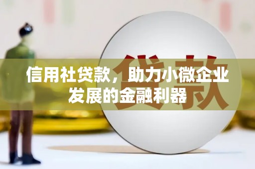 汉寿信用社贷款，助力小微企业发展的金融利器