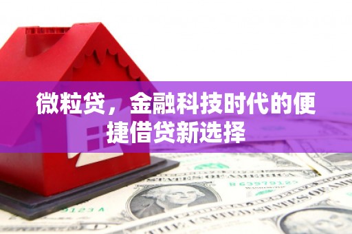 汉寿微粒贷，金融科技时代的便捷借贷新选择