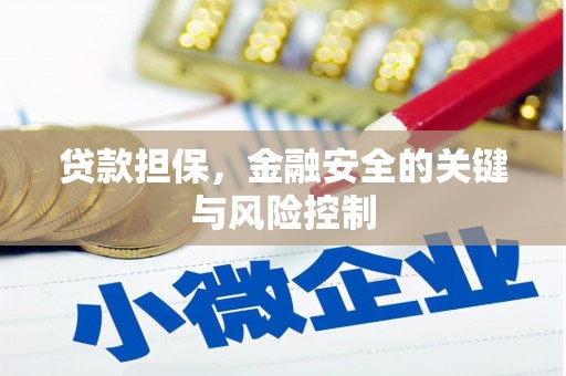 汉寿贷款担保，金融安全的关键与风险控制