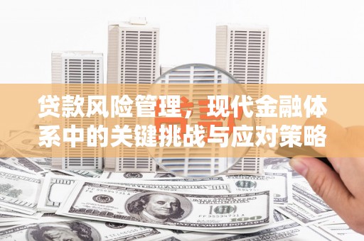 汉寿贷款风险管理，现代金融体系中的关键挑战与应对策略