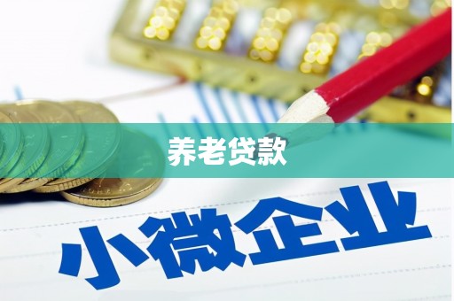 汉寿养老贷款