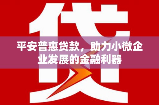 汉寿平安普惠贷款，助力小微企业发展的金融利器