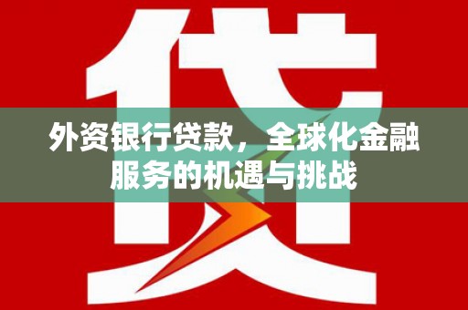 汉寿外资银行贷款，全球化金融服务的机遇与挑战