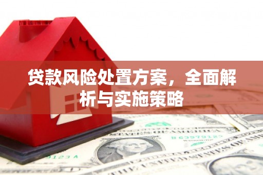 汉寿贷款风险处置方案，全面解析与实施策略